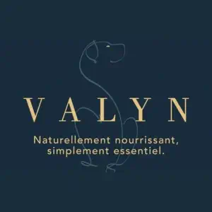 Logo VALYN (1)