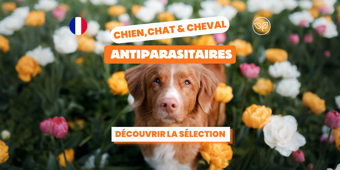 Sélection antiparasitaires