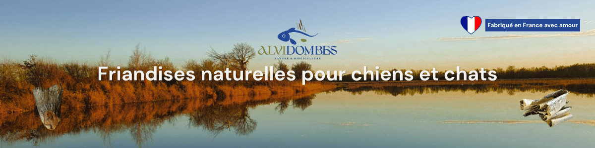 ALVIDOMBES